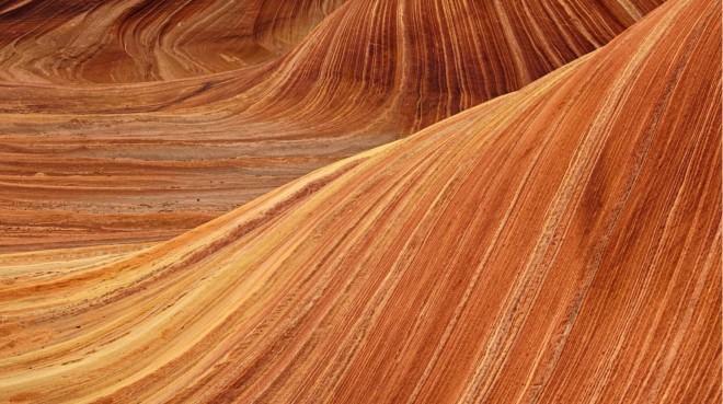 Catàleg competències transversals i directives 2026, Grup Sural